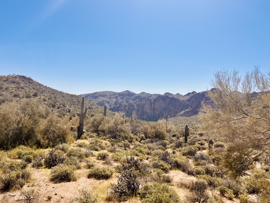 Desert Hike