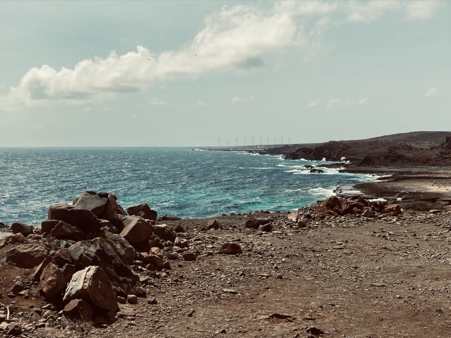 Desert Coastline