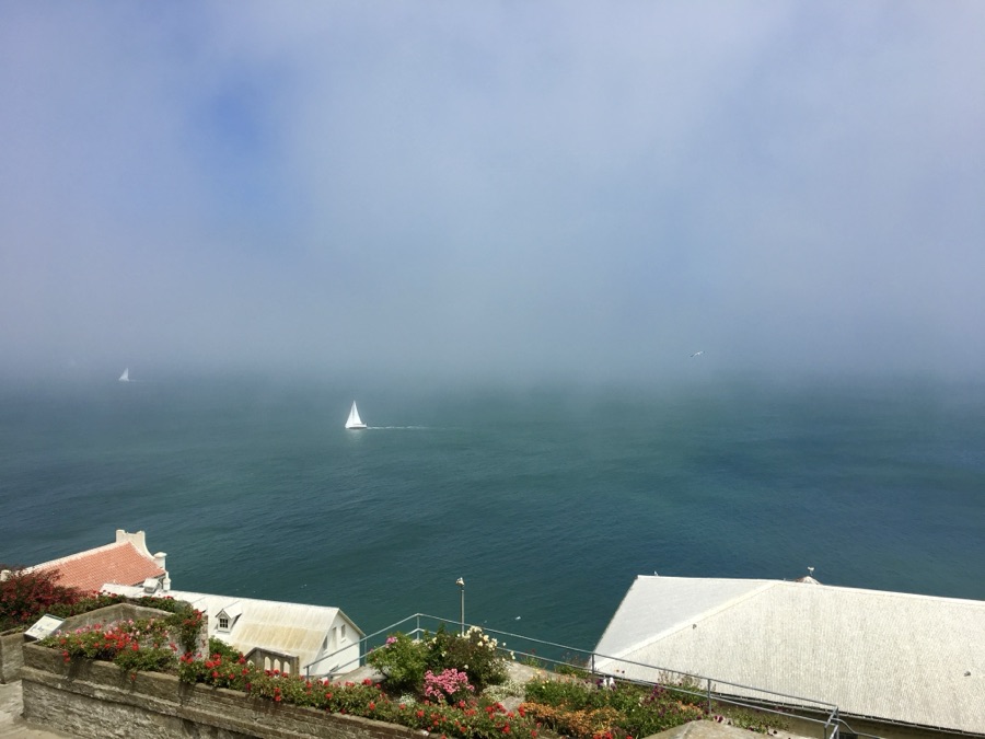Foggy Bay